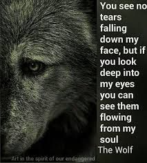 a wolf with the quote you see no tears falling down my face, but if you look