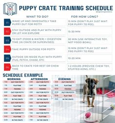 puppy crate training schedule Sample Puppy Schedule, Puppy Weaning Schedule, Puppy Training Schedule 8 Weeks, 10 Week Old Puppy Schedule, 10 Week Puppy Schedule, 9 Week Old Puppy Schedule, Puppy Socialization Schedule, Puppy Schedule 4 Months, Puppy Vet Schedule