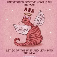 a pink background with an angel cat and the words,'let go of the past and learn into the new '