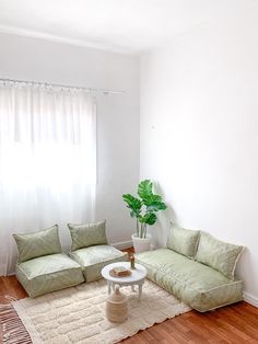 a living room filled with furniture and a plant on top of a white coffee table