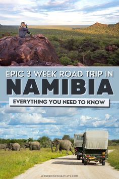 a truck driving down a dirt road with elephants in the background and text that reads epic 3 week road trip in namibia everything you need to know