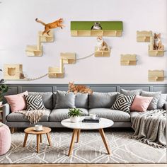 a living room filled with furniture and lots of cats on the wall above it's shelves