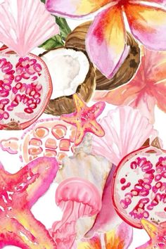 watercolor painting of flowers and shells on a white background with pink, yellow and orange colors