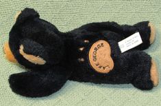 a black teddy bear laying on top of a green blanket with a tag attached to it's ear