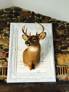 a deer's head mounted to the side of a stone wall in front of a white frame