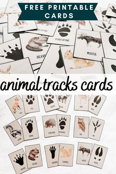 printable animal tracks cards with the words free printable animals on them and an image of