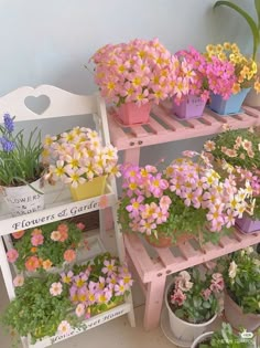 several potted flowers are sitting on wooden shelves