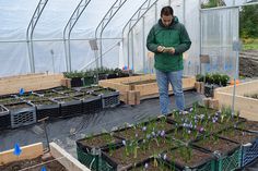 a man standing in a greenhouse looking at his cell phone