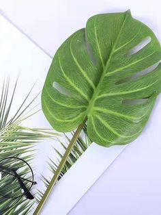 a large green leaf sitting on top of a white table next to a pair of glasses