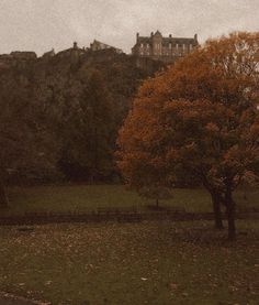 an old castle on top of a hill with trees in the foreground and fallen leaves on the ground