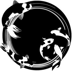 black and white koi fish in a circle