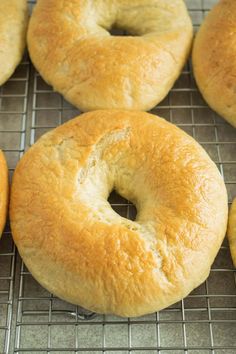 freshly baked bagels on a cooling rack ready to be cooked in the oven for consumption