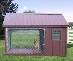 a dog in a kennel on the grass