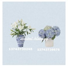 there are two vases with flowers in them on the same side, one is blue and white