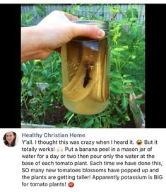 someone is holding a jar full of liquid with a bug in it and the caption reads, healthy christian home