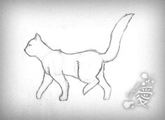 a black and white drawing of a cat