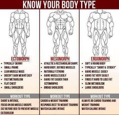 the body type chart shows how to use it for different types of muscles and muscles