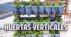 there are many potted plants in the middle of this street sign that says, huertas verticales