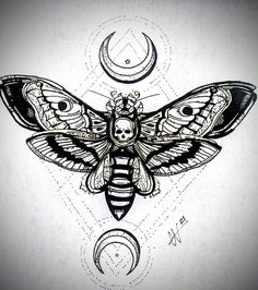 a black and white drawing of a moth with the moon in the background, on paper