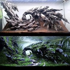 two different types of fish tanks with plants and rocks in them, one is filled with water