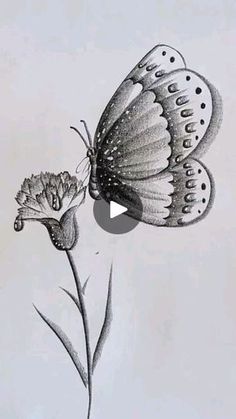 a drawing of a butterfly sitting on top of a flower