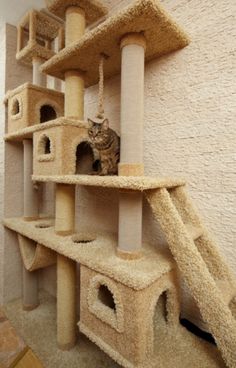 a cat sitting on top of a scratching tower in a room with carpeted walls