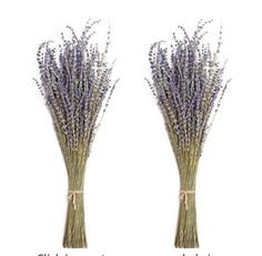 two vases filled with lavender flowers sitting next to each other