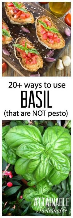 basil and other vegetables with text overlay reading 20 + ways to use basil that are not pesto