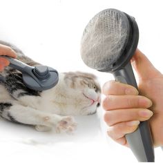 a cat is playing with a hair dryer in the air while being held by someone's hand