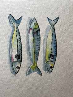 three fish are shown in watercolor on paper