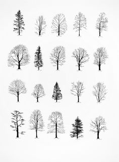 an image of trees drawn in black and white