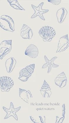 an image of seashells and starfish in blue ink with the words he leads me beside quiet waters