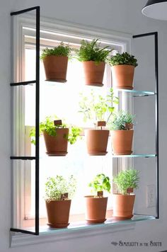 a window sill filled with lots of potted plants