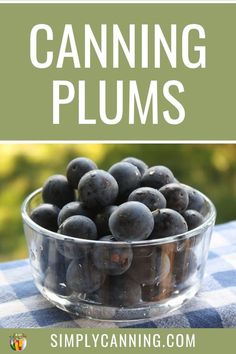 blueberries in a glass bowl with the words canning plums on top and below