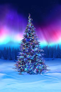 a brightly lit christmas tree in the middle of a snow covered field with aurora lights behind it