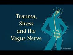 Trauma, Stress & the Vagus Nerve - YouTube Vagus Nerve Damage, Vagus Nerve Stimulator, Polyvagal Theory, Nervus Vagus, The Vagus Nerve, Nerve Health, Parasympathetic Nervous System, Vagus Nerve, Doctorate