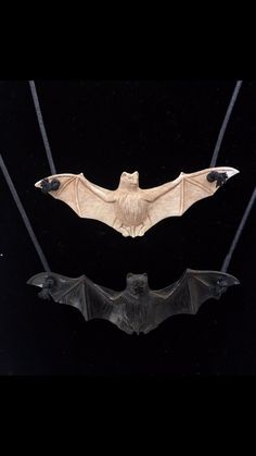 Bat necklace hand carved out of bone available in white or black (dyed) on adjustable black cord, 8 inches-15 inches Adjustable Black Carved Necklace, Bat Jewelry, Bat Necklace, Abalone Shell Necklace, Raven Necklace, Hemp Necklace, Halloween Necklace, Angel Wing Earrings, Black Bat