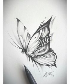 a pencil drawing of a butterfly on paper