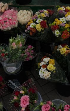 many different types of flowers are on display