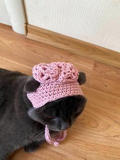 a black cat wearing a pink crocheted hat on top of a wooden floor