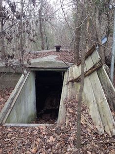 an old outhouse in the woods with leaves on the ground and trees around it