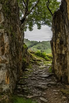 a stone path between two large rocks