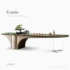 a table with a bonsai tree on it and the words cavajo above it