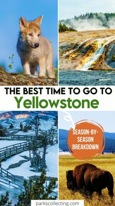 the best time to go to yellowstone season - by - season breakdown is here