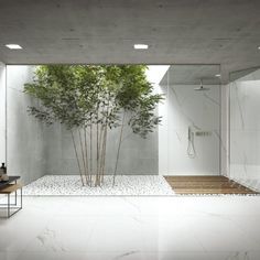 a white bathroom with a bamboo tree in the shower