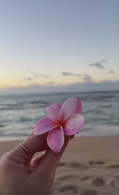 a person holding a pink flower in their hand on the beach at sunset or sunrise