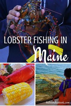 lobster fishing in maine is one of the best things to do with kids this summer