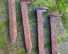 four rusty nails laying on top of green grass