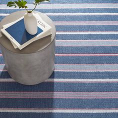 a vase with a plant in it sitting on top of a blue and white striped rug