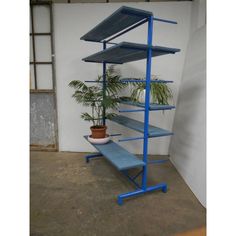 a blue metal shelf with plants and potted plant on it in an empty room